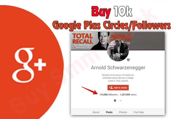 buy shares in google plus followers