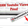 1000 Youtube Views Proof