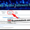160000 Twitter Followers Proof