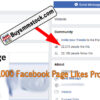 20000 Facebook Page likes proof
