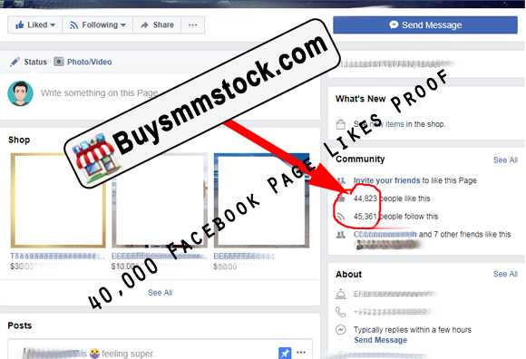 40000 Facebook Page likes proof