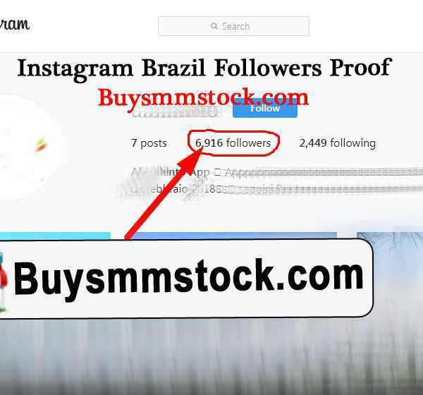 Brazil instagram followers Proof 1
