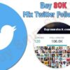 Buy MIX Twitter Followers