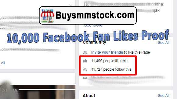 Real 10000 Facebook Fan Likes Proof