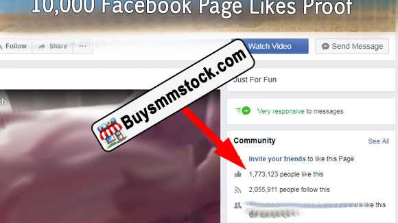 10000 Facebook Page likes proof