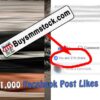 21,000 Facebook Post Likes
