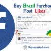 Buy Brazil Facebook post Likes