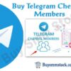 Buy Telegram Chennel Members