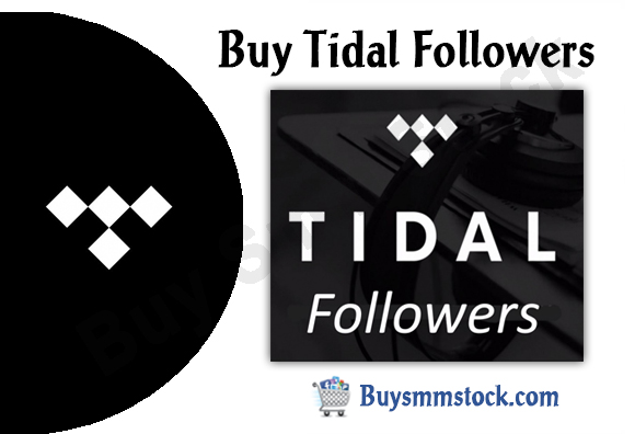 Buy tidal Followers