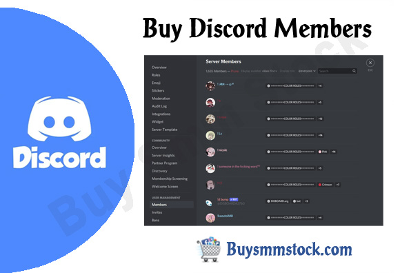 Buy Discord Members