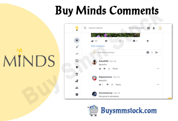 Buy Minds Comments