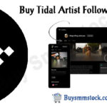 Buy Tidal Artist Followers