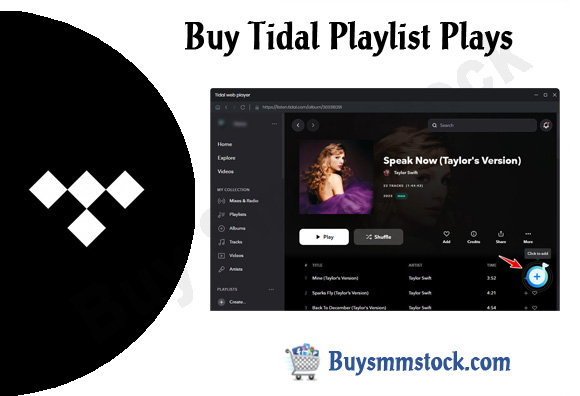 Buy Tidal Playlist Plays